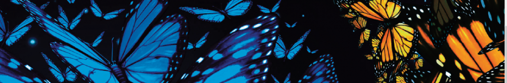 Elizabeth J. Donaldson